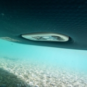 Guests Enjoying The Jobe Sports E-Duna Elite On The Ocean, Integrated (Removable) Battery And Drive Unit. Remote Control. Up To 3 Hours Continuous Assisted Cruising. Stable And Light. 5 Year Warranty.